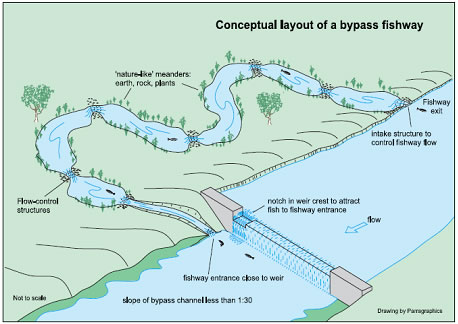 Civil Works Environment Gateway: Ecosystem Restoration - Fish Passage